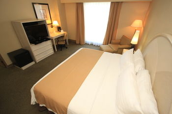 Others 4, Holiday Inn Leon - Poliforum by IHG, León