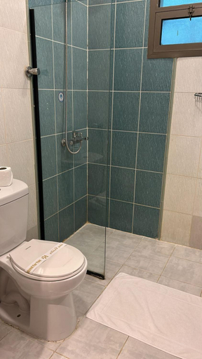 Shower, Doolv hotel, Riyadh, Riyadh