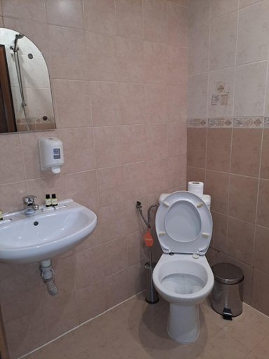 Bathroom 3, Стария Чинар, Sandanski