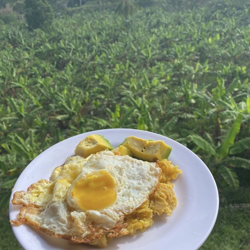 Breakfast meal, Complejo Ecoturistico Rancho Cielo, Licey al Medio