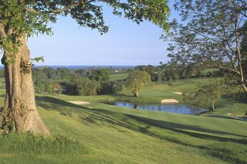 Others 3, Druids Glen Hotel & Golf Resort
