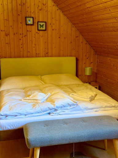4, Drevenica Diana, Poprad