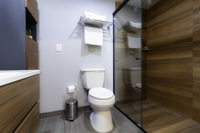 Bathroom 5, Arboleda 5, Silao