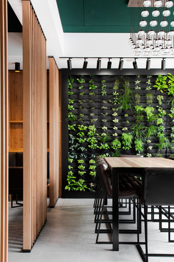 Food & Drinks 5, Hotel Verge Launceston, Launceston - Pt B