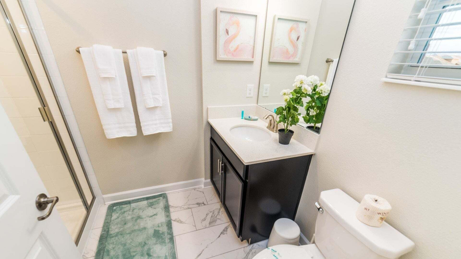 Interior 3, Sgd8979, Osceola