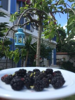 Food and Drink 4, Kayezta Hotel Alacati, Çeşme