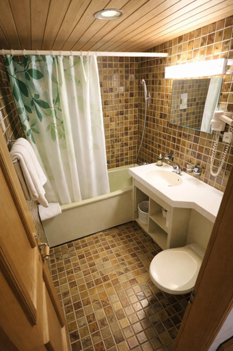 Bathroom 2, Hotel Guter Hirte, Trachselwald