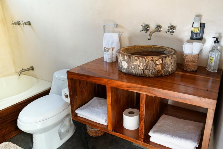 Bathroom 3, Bufo Alvarius, Cozumel