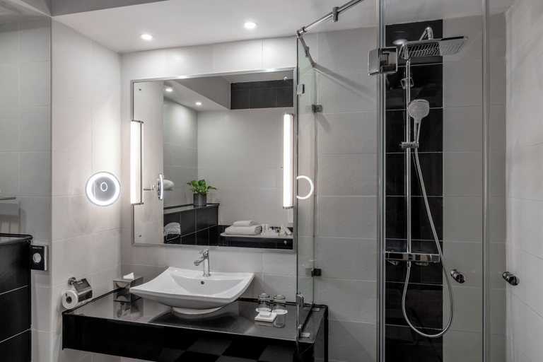 Bathroom 5, Radisson Blu Hotel Lusaka, Lusaka