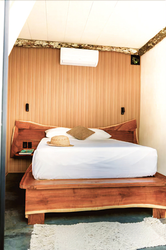 Bedroom 2, Bufo Alvarius, Cozumel