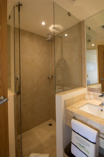 Bathroom 5, One Irapuato, Irapuato