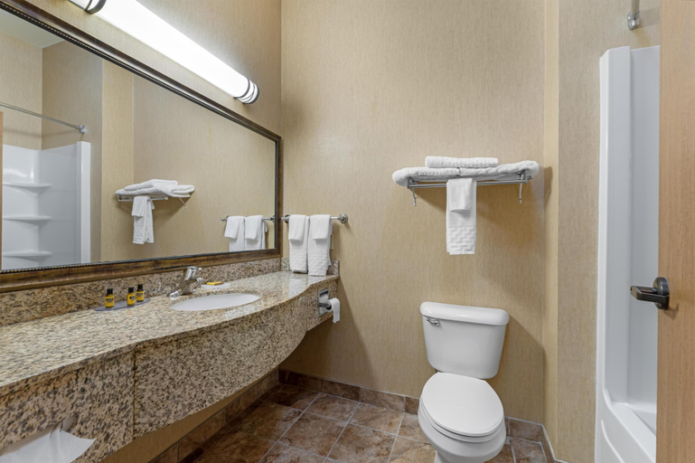 Bathroom 4, Best Western Plus Capital Inn, Cole