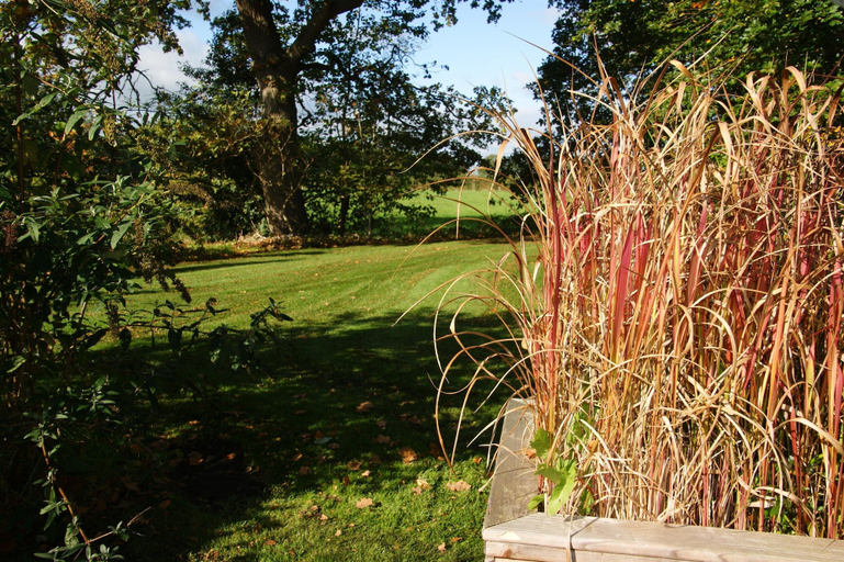 View from property 5, Pleasant Nature Lodge in Dalerveen, Coevorden