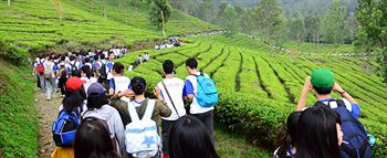 Hiking, Marbella Villa RESORT​, Subang