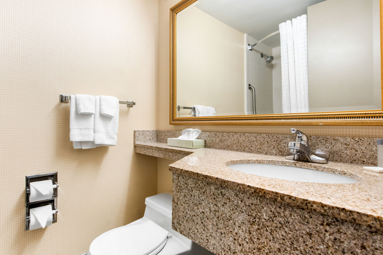 Bathroom 4, Quality Inn & Suites Charleston, Kanawha