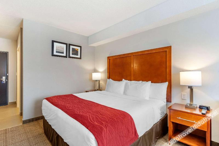 Others 2, Comfort Inn & Suites, Fraser-Fort George