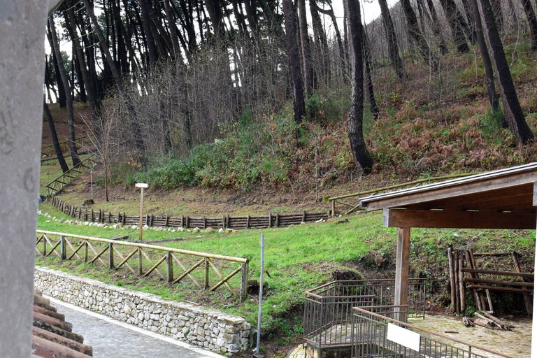 Property grounds, Dimora San Martino, Avellino