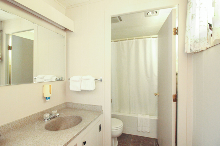 Bathroom 3, COHO Inn & Motor Lodge, Windsor