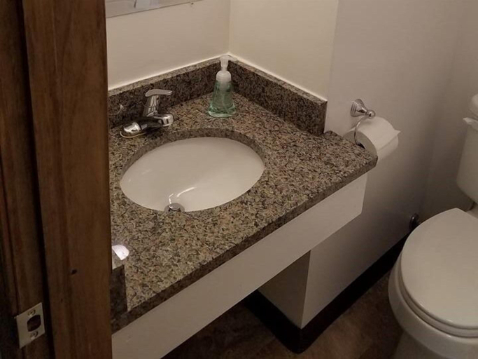 Bathroom 4, Windsor Crossroads Motel, Henry