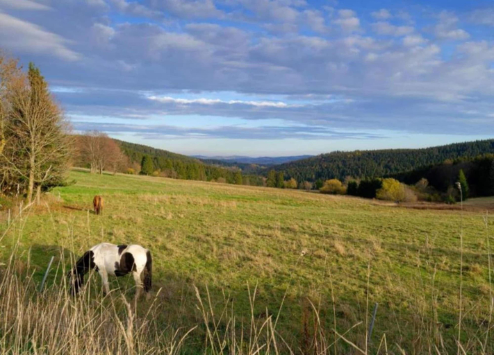 Others 5, Friedlicher Waldurlaub in Altenfeld, Ilm-Kreis