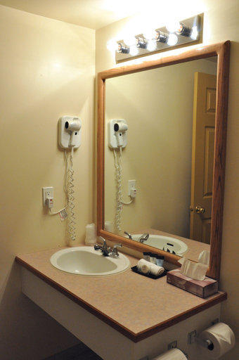 Bathroom 3, Western Budget Motel Leduc 3, Division No. 11