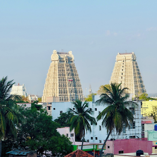 Miscellaneous, Hotel SK Temple View, Tiruvannamalai