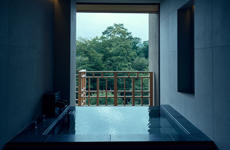 Bathroom 5, Gora Kadan Fuji, Oyama