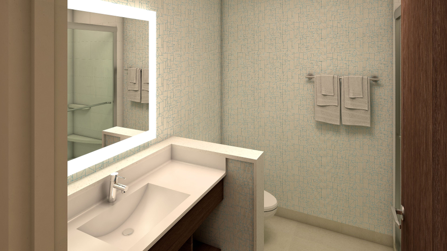Bathroom 3, Holiday Inn Express & Suites Omaha - 120th and Maple By IHG, Douglas