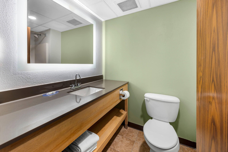 Bathroom 3, Quality Inn & Suites Monterey I-40, Putnam