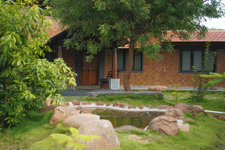 Property grounds 3, Laze Daze, Krishnagiri