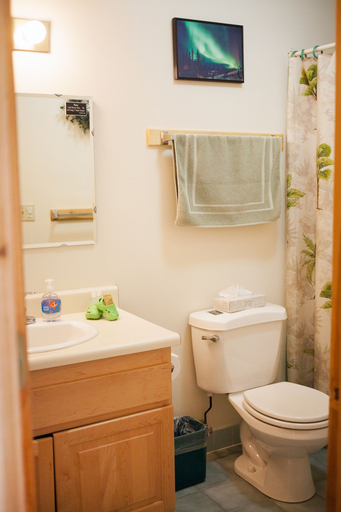 Bathroom, A Taste of Alaska Lodge, Fairbanks North Star
