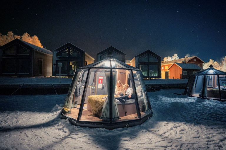 Property grounds, AuroraHut Glass Igloos Ranua, Lapland