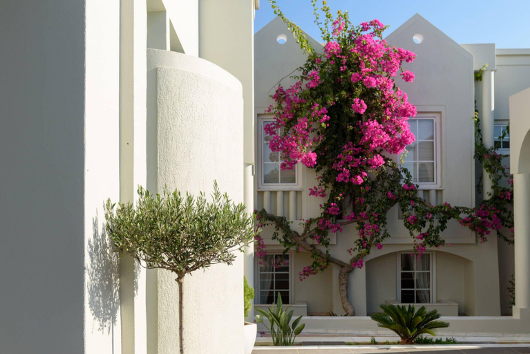 Exterior, Santorini Gem, South Aegean