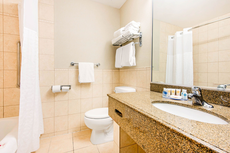 Bathroom 4, Comfort Inn Fallsview, Niagara