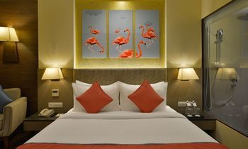 Others 3, The Fern Vadodara, Series by Marriott, Vadodara