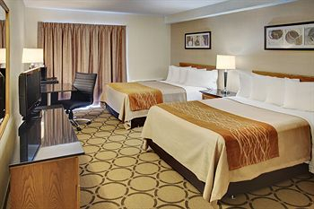 Others 5, Comfort Inn, Thunder Bay