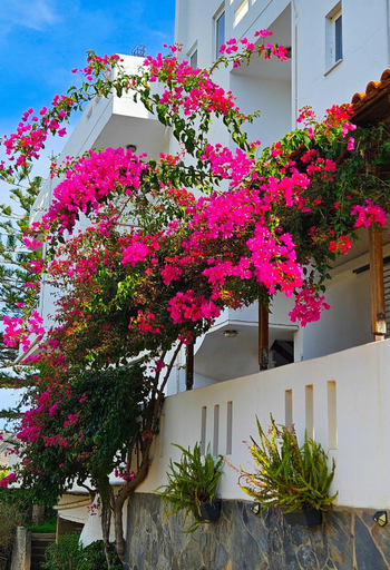 Exterior & Views, Giannis & Maria Gramvousaki Apts, Crete