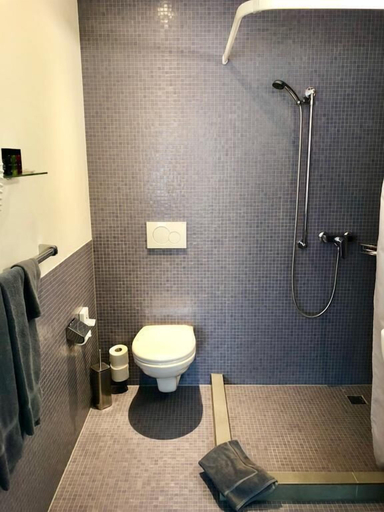 Bathroom, Motel Rheinfels Park, Rheinfelden