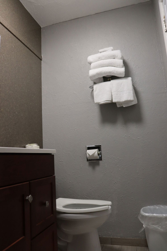 Bathroom 4, Starlite Motel, Baca