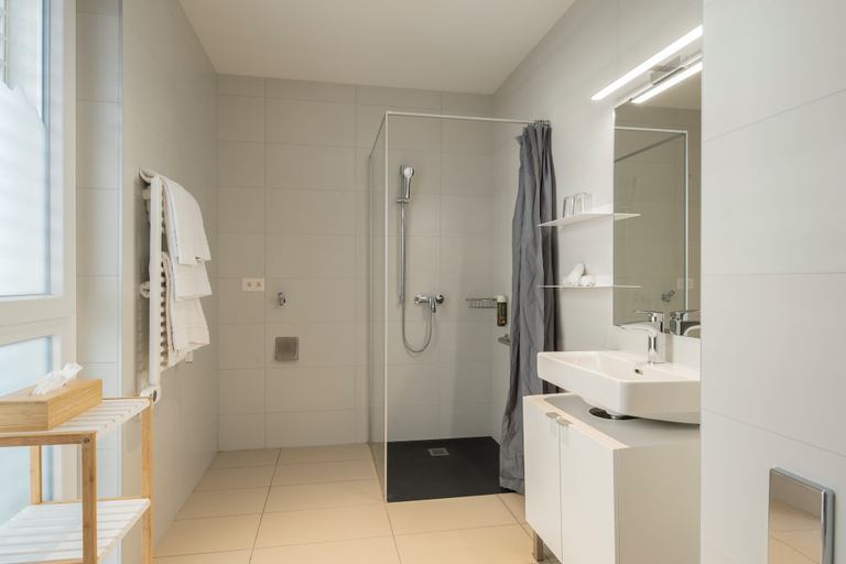 Bathroom 3, Alparthotel, Monthey