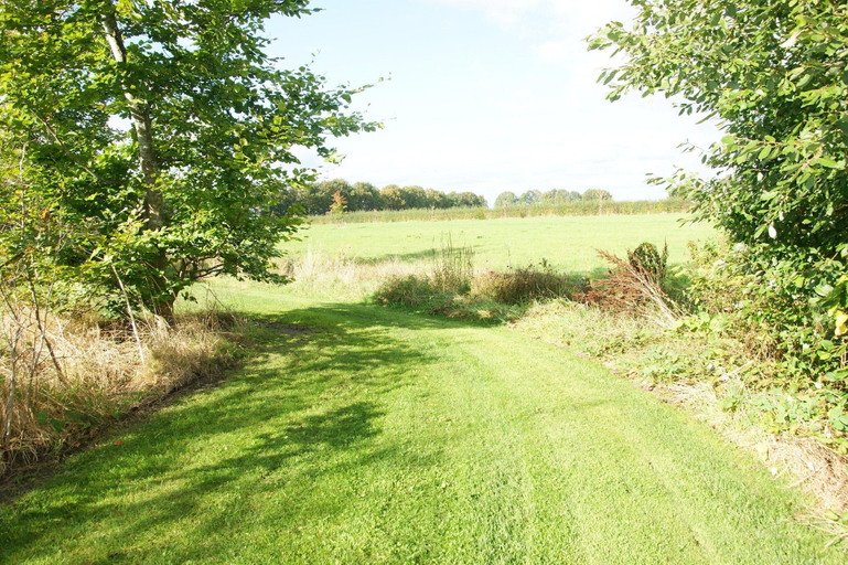 View from property 2, Pleasant Nature Lodge in Dalerveen, Coevorden