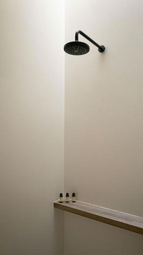 Bathroom 3, Octavia Casa, Mexico City
