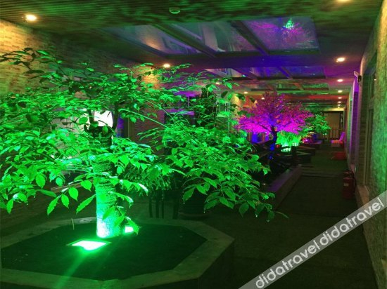 公共区域 3, Dade Garden Hotel, Zhangjiakou