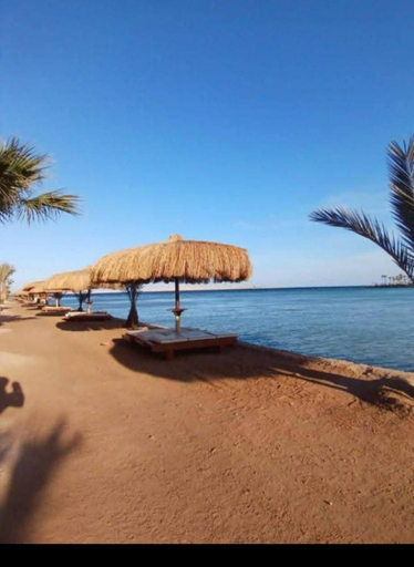 Others 5, Tiba Golden, Al-Ghurdaqah