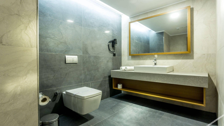 Bathroom 5, Willmont Hotel, Merkez