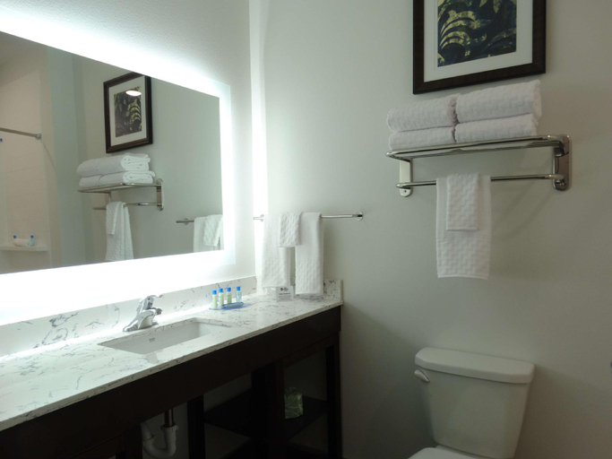Bathroom 4, Best Western Plus New Richmond Inn & Suites, Saint Croix