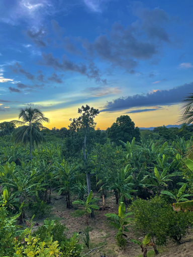 Garden, Complejo Ecoturistico Rancho Cielo, Licey al Medio