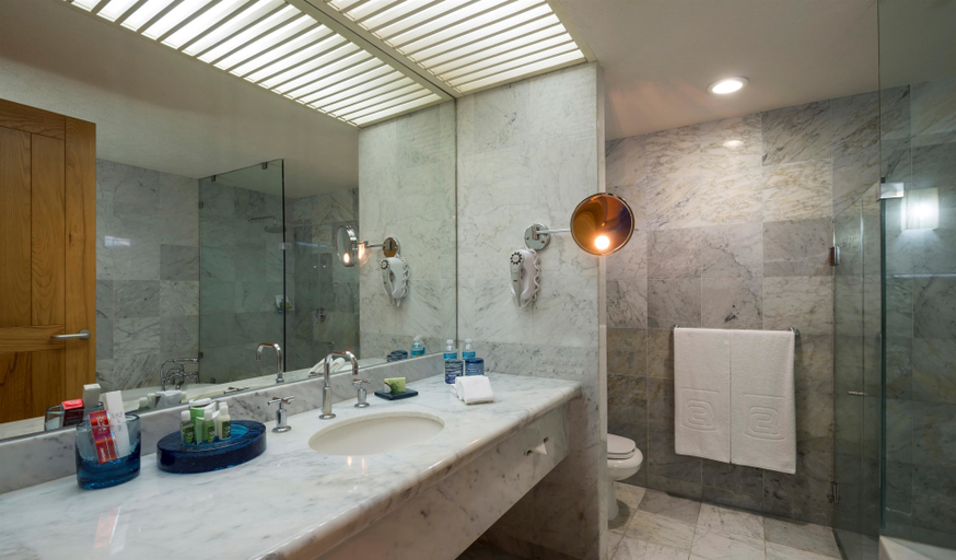 Bathroom 5, Camino Real Guadalajara, Zapopan