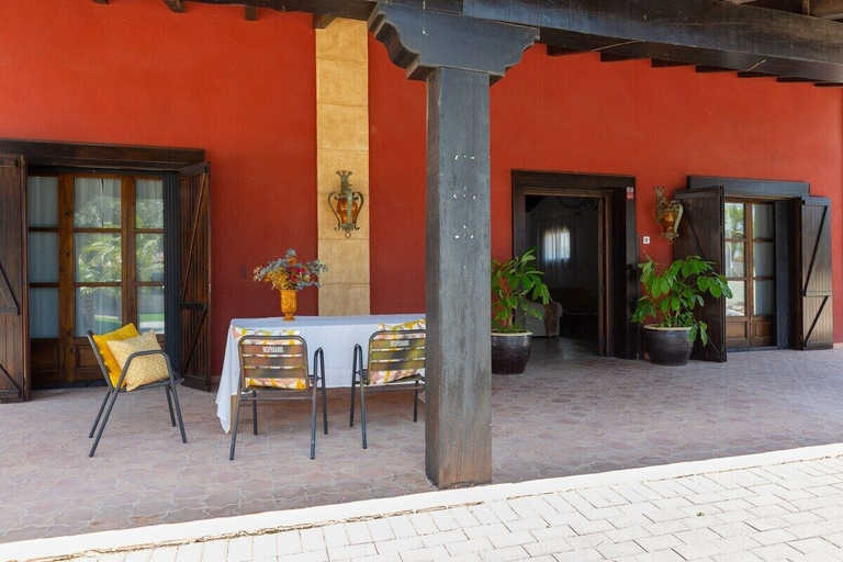 Interior 2, Summer Dream by Fidalsa, Alicante
