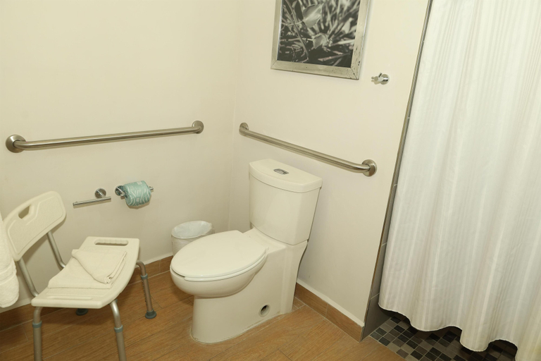 Bathroom 4, Hampton Inn & Suites by Hilton Paraiso Tabasco, Paraíso